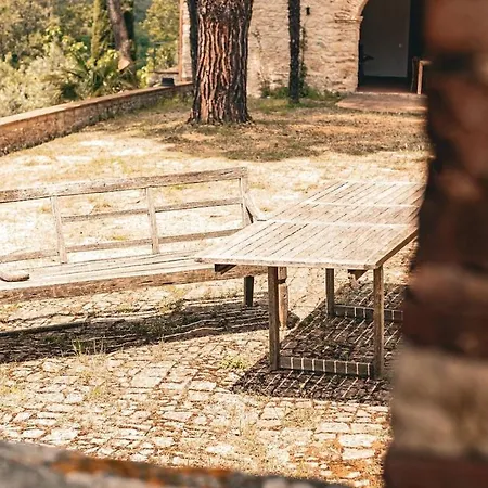 Dream With Pool In Chianti