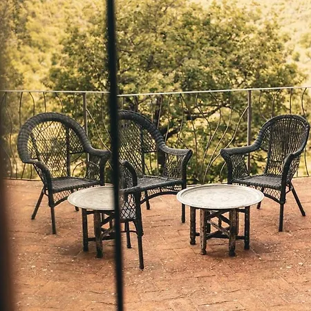 Dream With Pool In Chianti